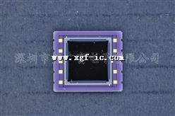 S5991-01